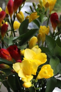 IMG_1321_kl