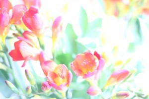IMG_1322_kl