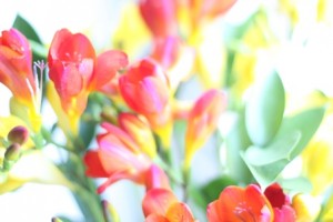 IMG_1325_kl
