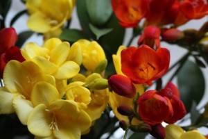 IMG_1340_kl